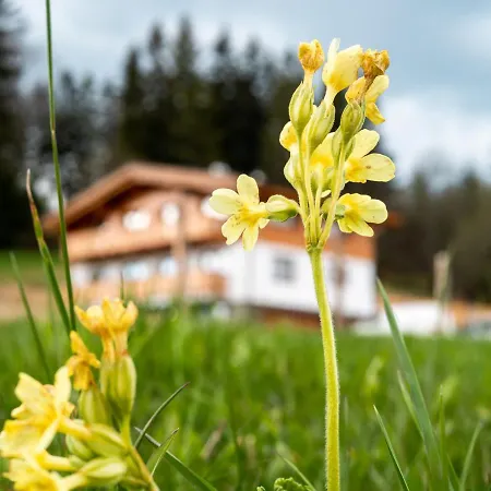 Chalety Bucina Apartmán